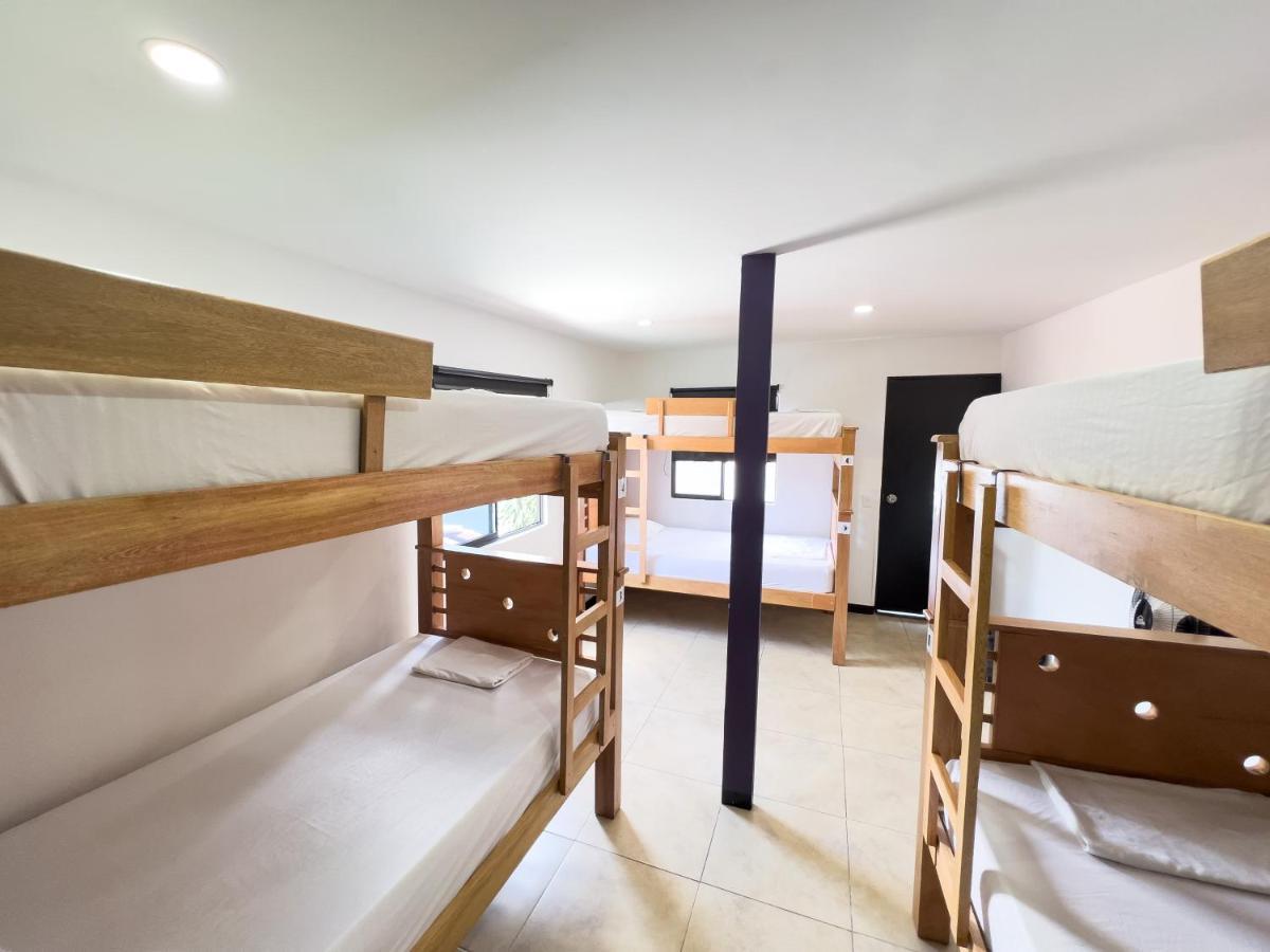 Rock Hostel *